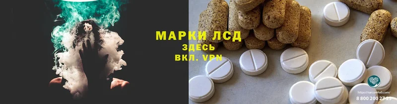 ссылка на мегу сайт  Всеволожск  нарко площадка Telegram  сколько стоит  ЛСД экстази ecstasy 